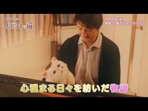 おじさまと猫