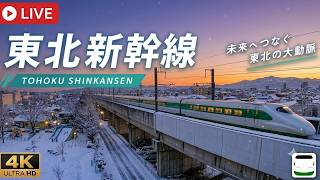 🚄東北新幹線 郡山 LIVE🔴REC ライブカメラ 鉄道 MAX320km/h Shinkansen TOHOKU🗾Japan disney live webcam