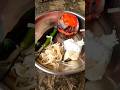 Village Style Cooking Basi Pakhala Tomato Poda Family Eating Time Village Villagefood Odisha