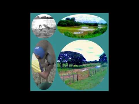 El pintor de mi pueblo - Montoya