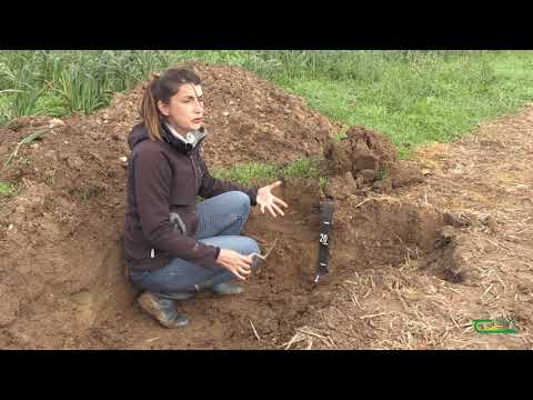 Soil Compaction - Double spade method