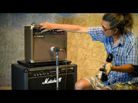 Vintage Nipon Gakki Yamaha JX20 80's MIJ Combo Amp image 9