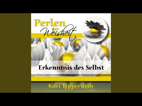 Erleuchtung ist erst der Anfang