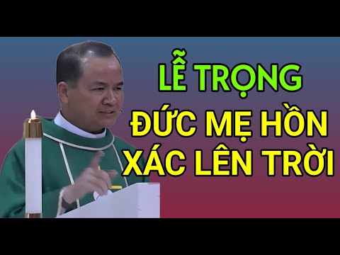 LỄ ĐỨC MẸ HỒN XÁC LÊN TRỜI NGÀY 15/8/2024 LÀ LỄ TRỌNG| CHA PHẠM TĨNH THUYẾT GIẢNG RẤT HAY