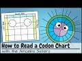 How to Read a Codon Chart