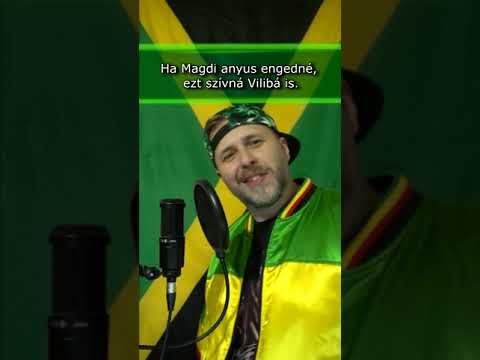 SitganPali - Legalizáció (Dr. Dre, Snoop Dogg, Nate Dogg - The Next Episode)