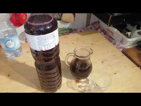 Assaggio del vinello-da MicheleExpert-Cropaalti CS