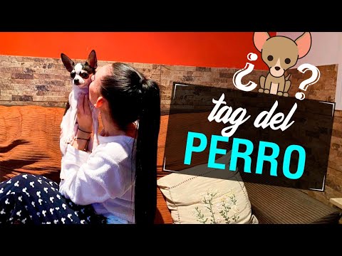 TAG DEL PERRO - @cnttzni
