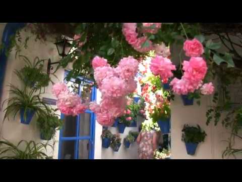 130519 PATIO TRUEQUE 4