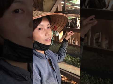 Video thumb