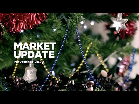 November 2022 Market Update
