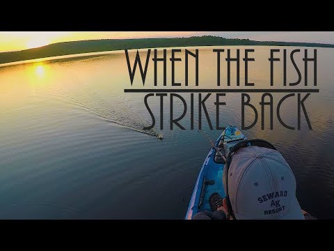 TOP STRIKES of 2017 - WHEN THE FISH STRIKE BACK Premiere Episode