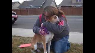 Northwest Boxer Rescue Surprise Adoption