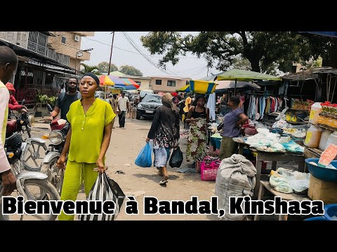 Alt Text: A detailed infographic showing the step-by-step process of photosynthesis in a plant leaf. Image Title: Visual b...