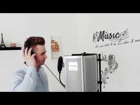 Gabi Andronesi - ,,Biruitor"