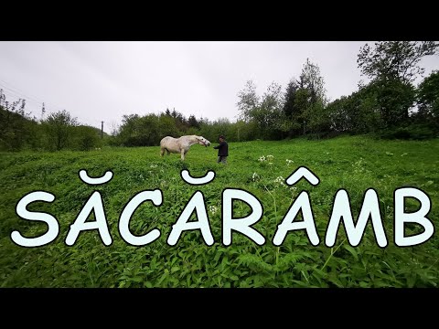 Satul Săcărâmb. El Dorado al Transilvaniei. Aici a fost târâmul aurului