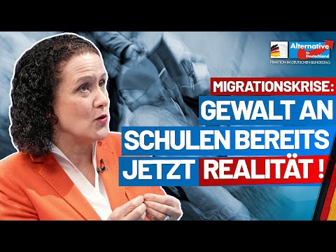 Realität an Schulen: Die Gewalt ist latent vorhanden! Nicole Höchst - AfD-Fraktion im Bundestag