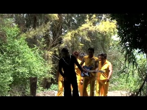 Roberto Moron y Su Atentado Internacional - Tormenta Del Desierto (Videoclip Oficial)