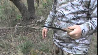 obsidian knife pig stab