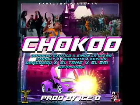 chokoo