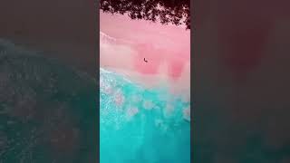 Download lagu Pink Beach Lombok Indonesia #vacation #travel #exploretheworld mp3