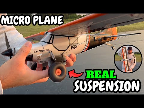 This Might Be the ULTIMATE Micro Bush Plane!