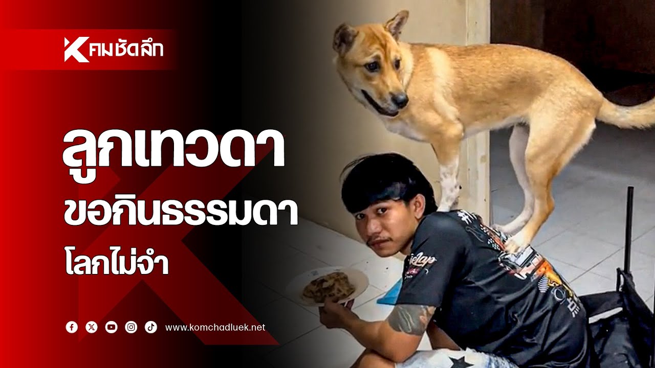 ลูกเทวดา ขอกินธรรมดาโลกไม่จำ
