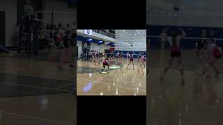 HIGHLIGHTS