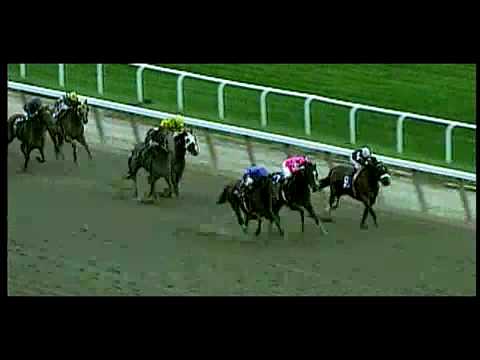 Colonel John March 25 Sire Tiznow wins BC Classic twice