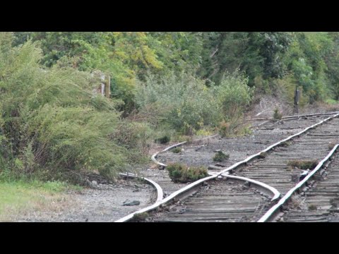 Old overgrown railroad siding cleared by volunteers - Kaiser Siding