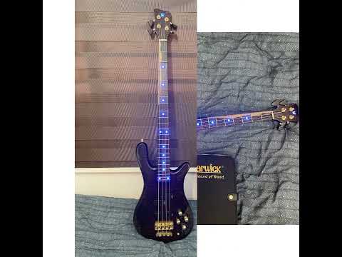 Warwick Streamer Stage I Sample