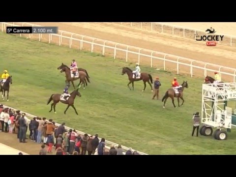 The Jockey, Gran Hipódromo de Andalucía,  10 de enero 2016
