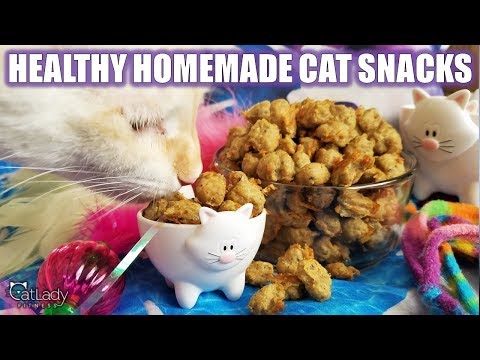 How to make THE BEST HOMEMADE KITTY TREATS (grain-free, high-protein cat recipe!)