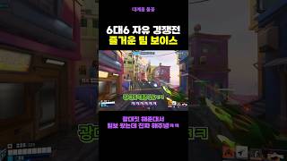 6 대 6 자유 경쟁전 꿀팁 + 팀보이스
