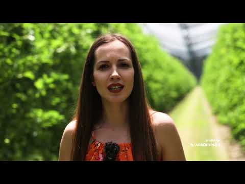 Galenika Fitofarmacija: DANI POLJA za savremenu zaštitu i ishranu JABUKE!