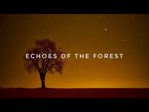 Echoes of the Forest - Thomas Ben Tov, Sémø (CINEMATIC MUSIC) (free music with license)