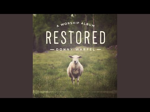 Trust In Your Love - Donny Warfel