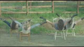 Vista Dance Company&#39;s &quot;I Feel a Sin Comin&#39; On&quot; by the Pistol Annies