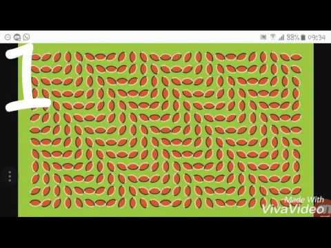 Top 5 iluziile mele preferate