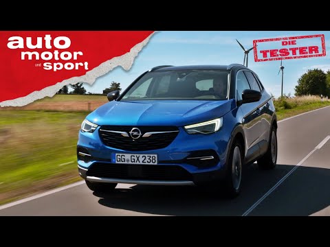 Opel Grandland X: Ein echter Opel? - Test/Review | auto motor und sport