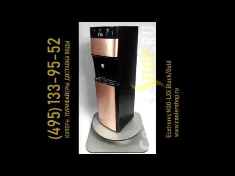 Обзор кулера для воды Ecotronic M30-LXE Black-Gold