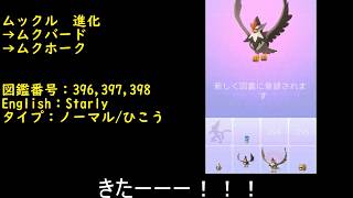 ムクホーク ポケットモンスター ラッタ ギガイアス バタフリー