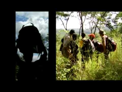 Strain Hunters Africa Expedition - Part 1 - Green House Seed Co