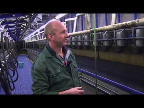 Gebr. Wienia over MidiLine swingover melkstal