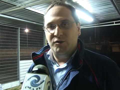 Festa natalizia Sulmona Rugby