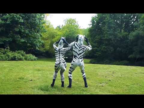 2 zebras dance