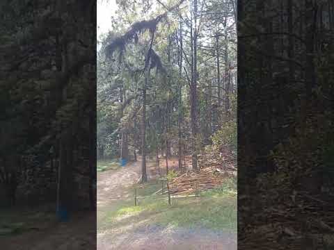 Un lugar hermoso, si quieres visitarlo esta en Perquin, Morazán, El Salvador