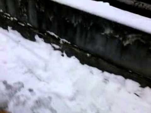 lukas blog figt,ty teddy und kümmel klopfer