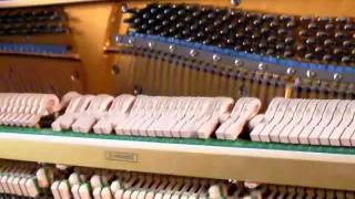 SHINE ON HARVEST MOON   A SONG FROM 1908   WRITTEN BY JACK NORWORTH & NORA BAYES