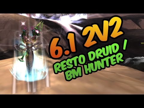 6.1 2v2 Arenas - BM Hunter, Resto Druid